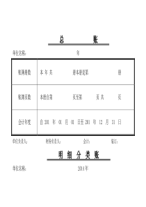 总账、明细账封面