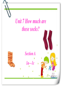 unit7How-much-are-these-socks单元课件.ppt自