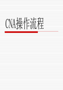 CNA操作流程（PPT45页)