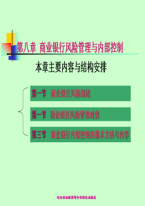 第八章商业银行风险管理与内部控制