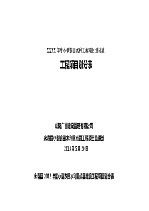 XXXX年度小型农田水利工程项目划分表