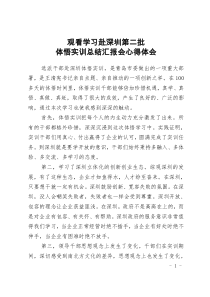 观看学习赴深圳第二批体悟实训总结汇报会心得体会