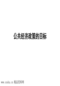 公共经济政策的目标