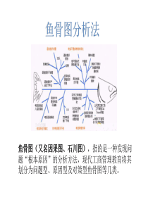 鱼骨图分析法(鱼骨图模板)