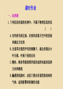 高三复习生物试题课件：生态系统的信息传递(新人教版)