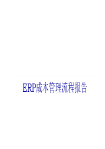 ERP成本管理流程报告(ppt 26)