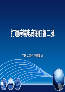 2014华南电子商务创新发展高峰论坛之李金玲篇