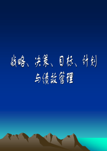 决策、目标、计划与绩效管理