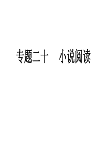 2011年中考语文复习课件--专题20 小说阅读