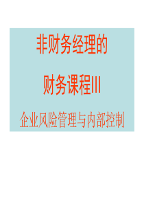 财务课程__风险管理与内部控制