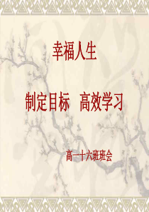 制定目标高效学习