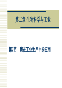 高二生物选修2 酶在工业生产中的应用1