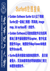 surfer详细入门教程