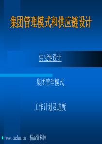 集团管理模式与供应链设计内部培训