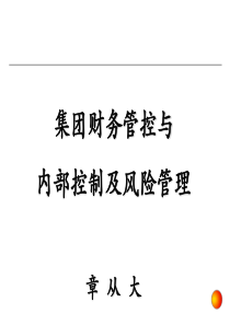 集团财务管控与内部控制及风险管理