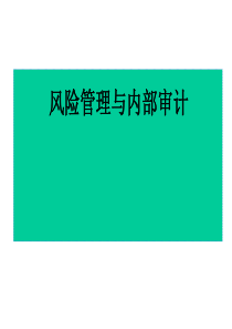 风险管理与内部审计(PPT 85页)