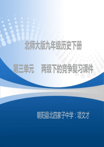 北师大版九年级历史下册第三单元_____两级下的竞争复习课件