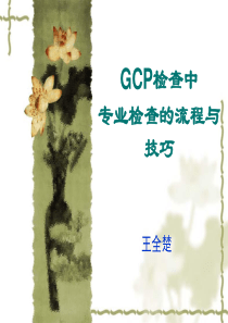 GCP检查中专业检查的流程与技巧