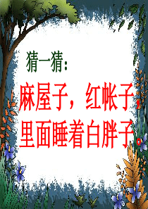 小松鼠找花生优质课