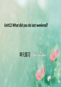 复习课件Unit12-What-did-you-do-last-weekend单元复习