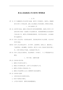 黑龙江辰能集团公司内部审计管理制度