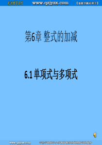 数学：6.1《单项式与多项式》课件(1)(青岛版七年级上)