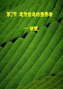 高一生物核酸课件