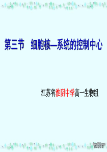 高一生物细胞核 系统的控制中心课件 新课标 人教版