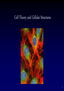 Cell-Structure-and-Function