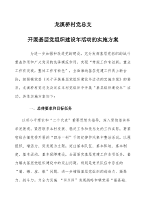 龙溪桥村开展基层党组织建设年活动的实施方案