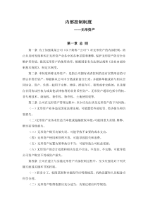 内部控制制度无形资产.docx