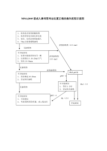 npsa2005版成人鼻饲管判定位置正确的操作流程示意图