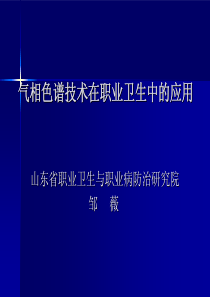 气相色谱分析原理与技术