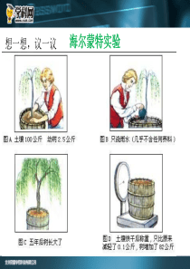 2015人教版生物七上3.5.1光合作用吸收二氧化碳释放氧气