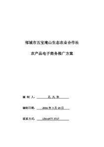 生态农业合作社-农产电商推广策划方案