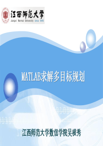 多目标规划MATLAB2012年wgx