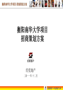 衡阳项目招商策划方案1206.ppt第二版