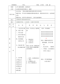 足球脚内侧传接球教案