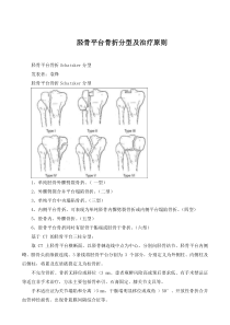 胫骨平台骨折分型及治疗原则