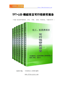 TFT-LCD模组项目可行性研究报告(专业经典案例)