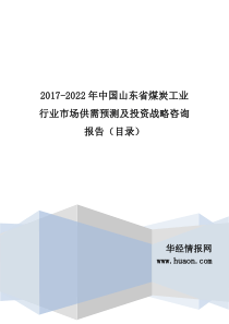 2017年中国山东省煤炭现状分析及市场前景预测(目录)