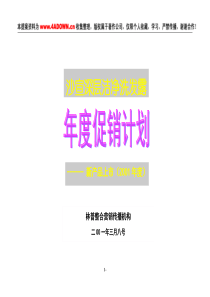 沙宣深层洁净洗发露年度促销计划新产品上市