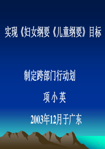 实现《妇女纲要《儿童纲要》目标 制定跨部门行动划 项小英