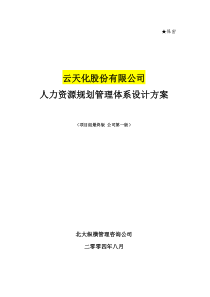 云天化人力资源规划方案-北大纵横