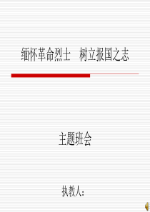 缅怀革命烈士树立报国之志主题班会