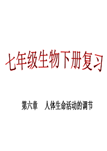 七年级下册生物第六章人体生命活动的调节复习ppt课件