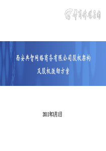 公司股权架构和股权激励方案3