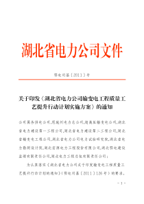 工程质量工艺提升行动计划实施方案