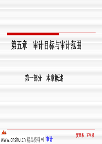 审计目标与审计范围(PPT72页)