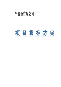 管理咨询――某公司项目投标方案